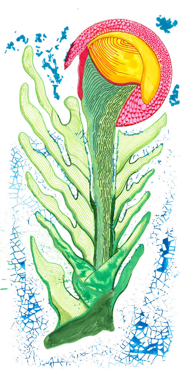 159 by Timothy Ray Horn  Image: Flora