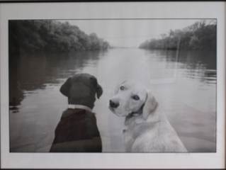 Look Back by Keith Auerbach 