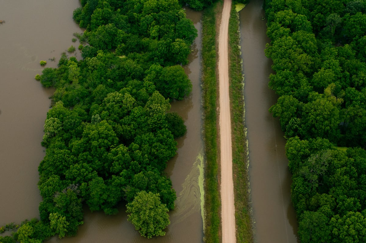 Delta Aerial XXIII by Will Jacks 