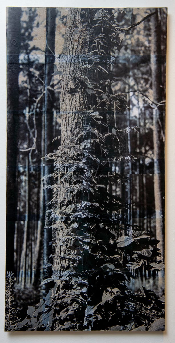 48x24 collage on wood panel 6/6 by Will Jacks, Image 1.