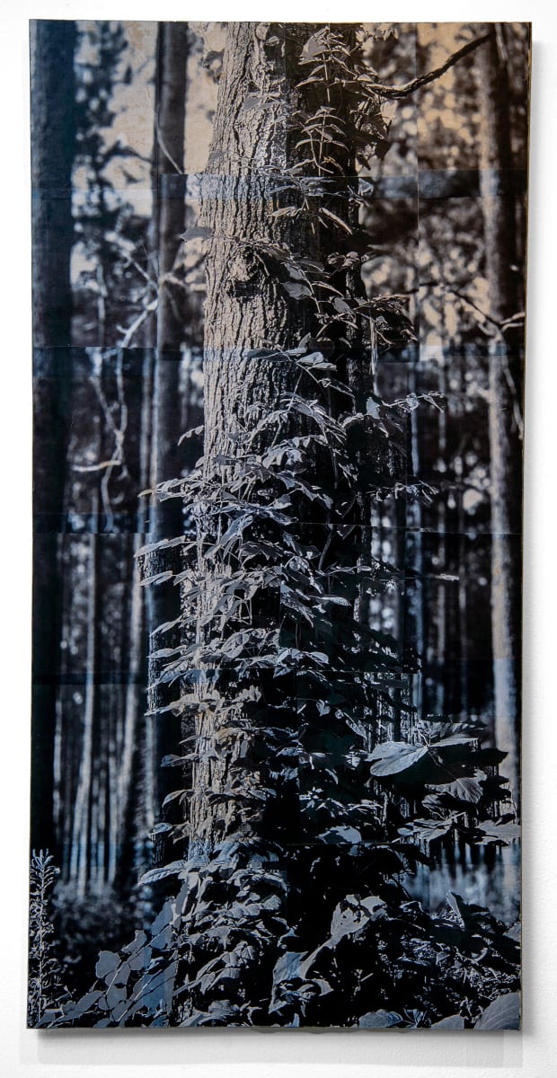 48x24 collage on wood panel 5/6 by Will Jacks, Image 1.