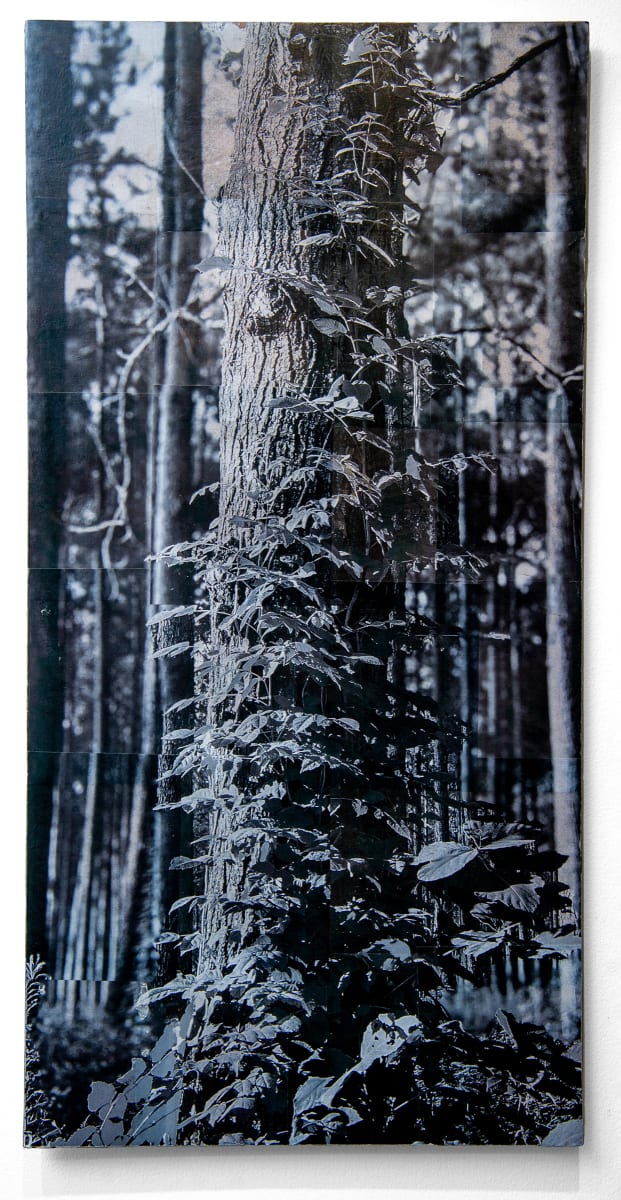 48x24 collage on wood panel 3/6 by Will Jacks, Image 1.