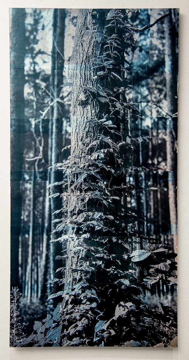 48x24 collage on wood panel 2/6 by Will Jacks, Image 1.