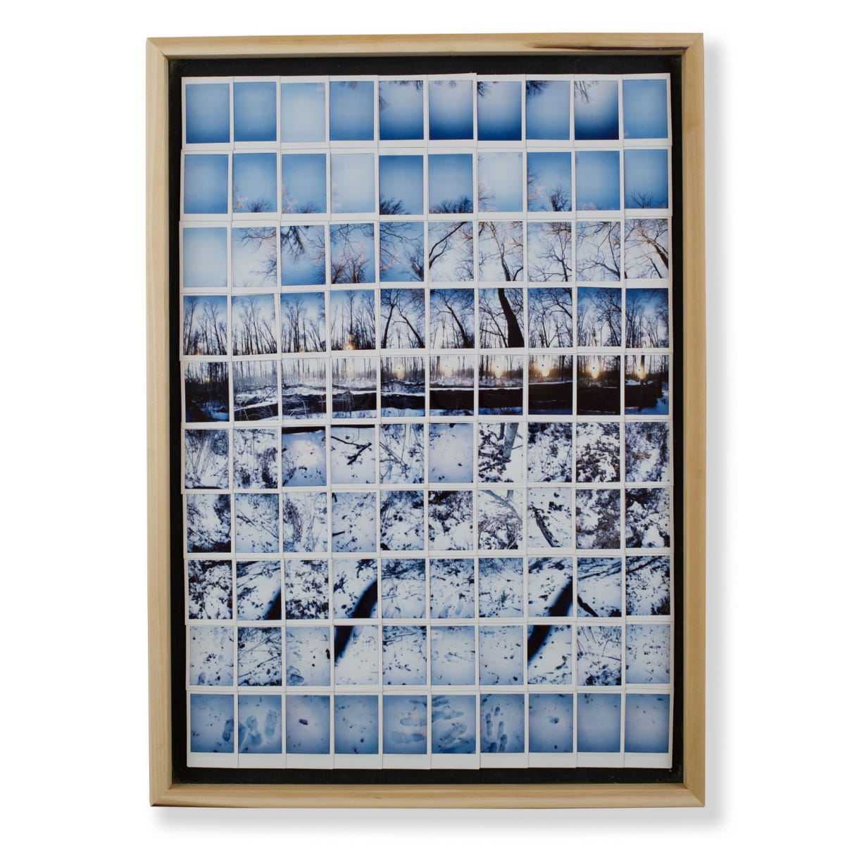 Tree in the Batture - Bolivar County, Mississppi by Will Jacks 