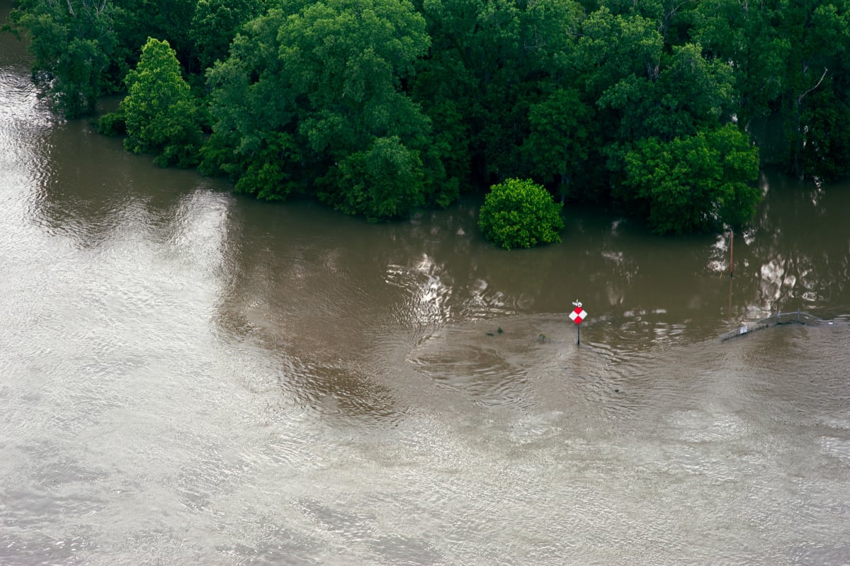 Delta Aerial XVI by Will Jacks 