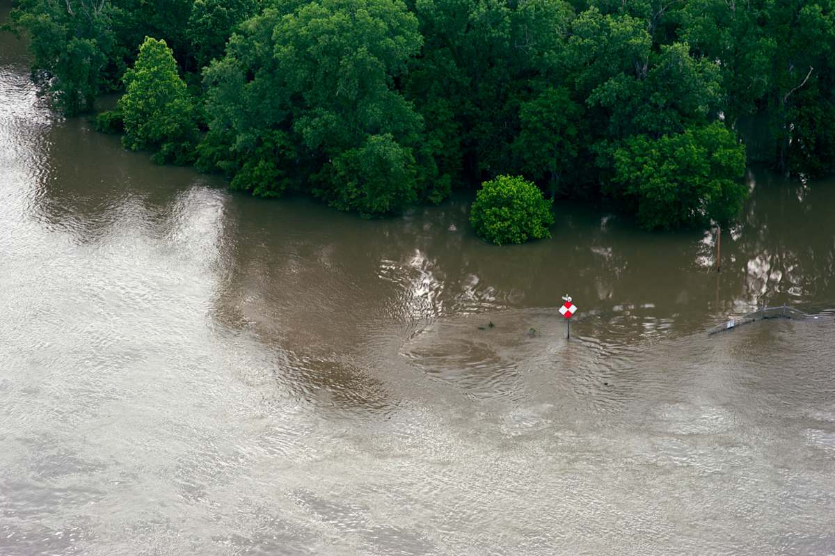 Delta Aerial XVI by Will Jacks, Image 3.