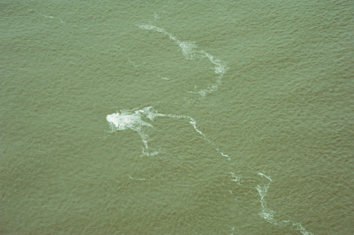 Delta Aerial XVIII by Will Jacks 