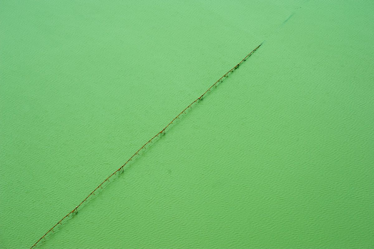 Delta Aerial XIV by Will Jacks, Image 6.