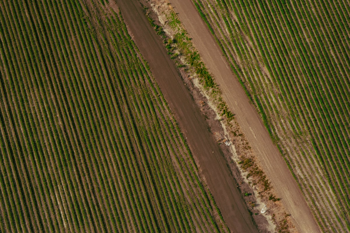 Delta Aerial XI by Will Jacks 