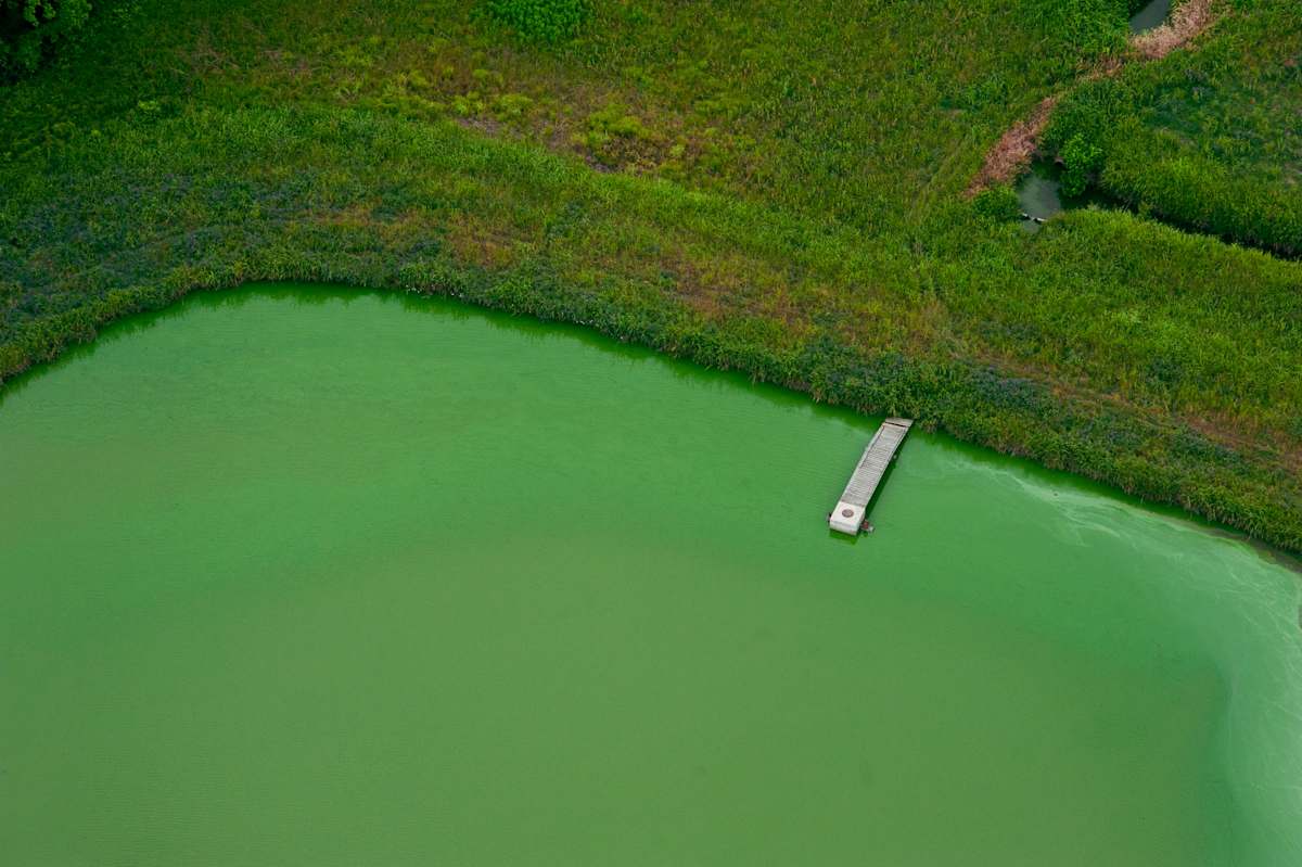 Delta Aerial IX by Will Jacks, Image 12.