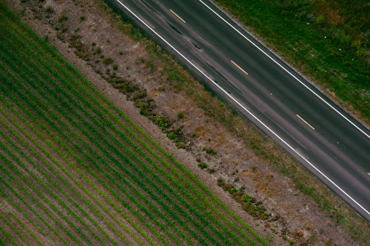 Delta Aerial VII by Will Jacks 