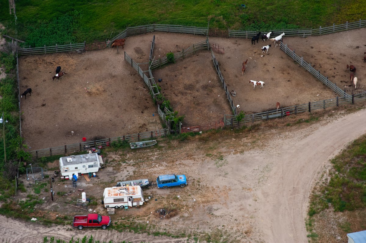 Delta Aerial IV by Will Jacks 