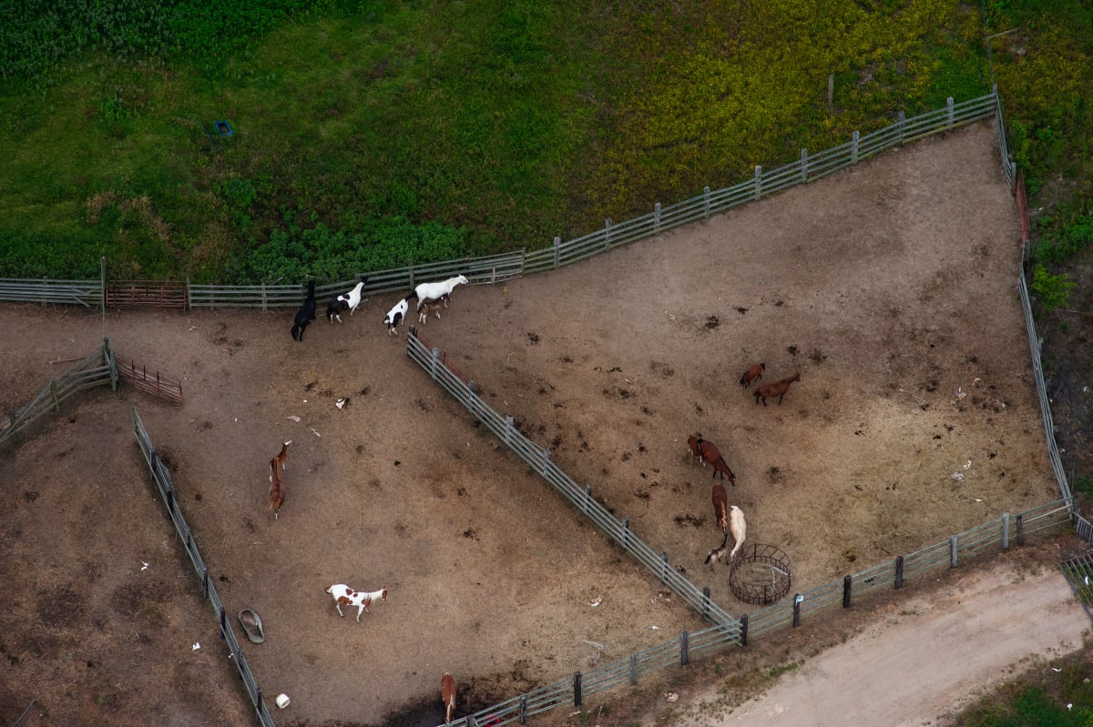 Delta Aerial VI by Will Jacks 