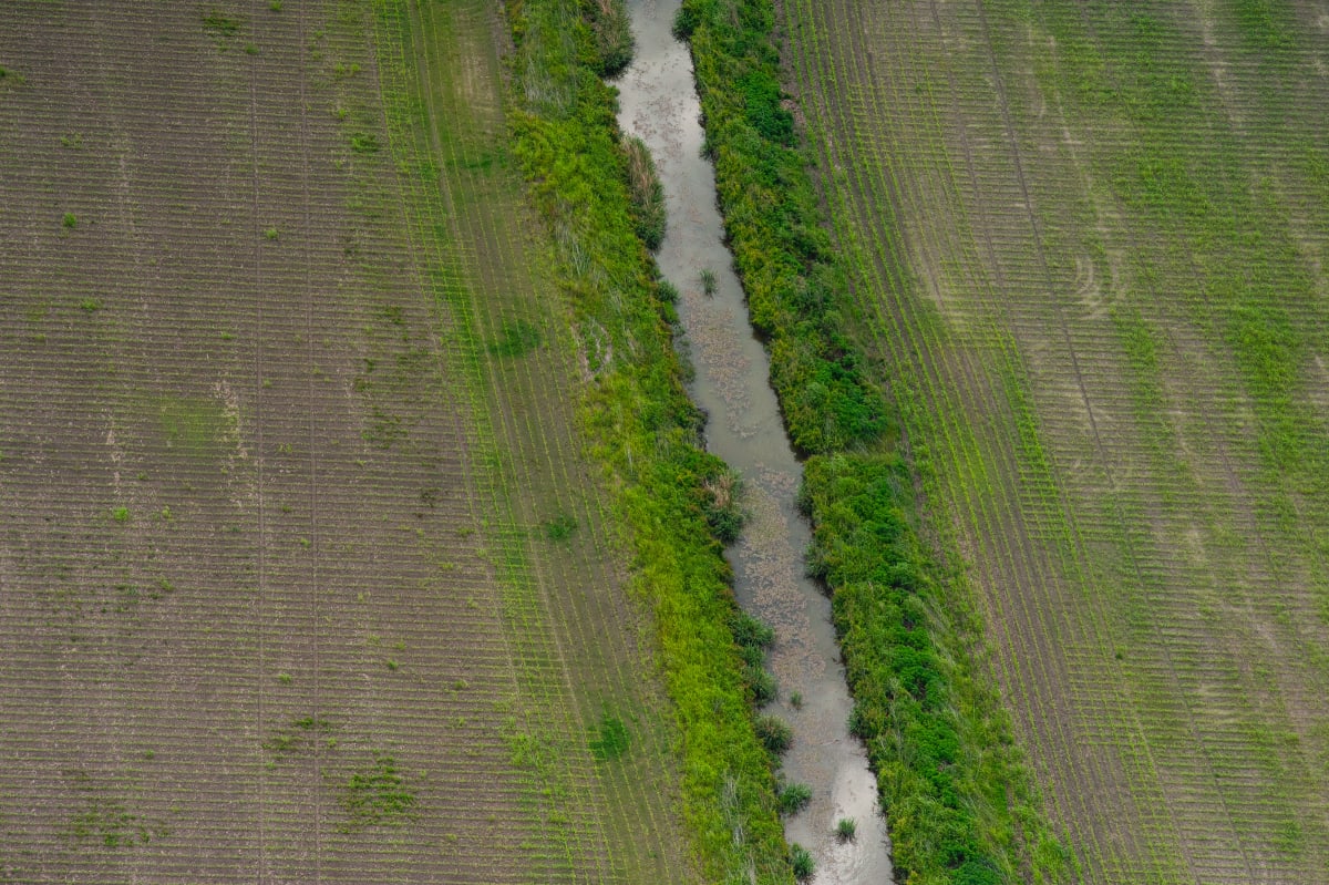 Delta Aerial XXV by Will Jacks 