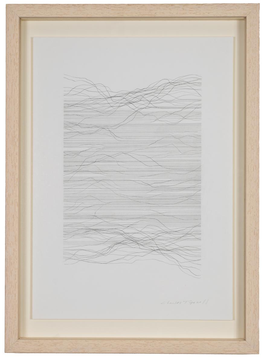 D3-17 by Charles Tyrrell 