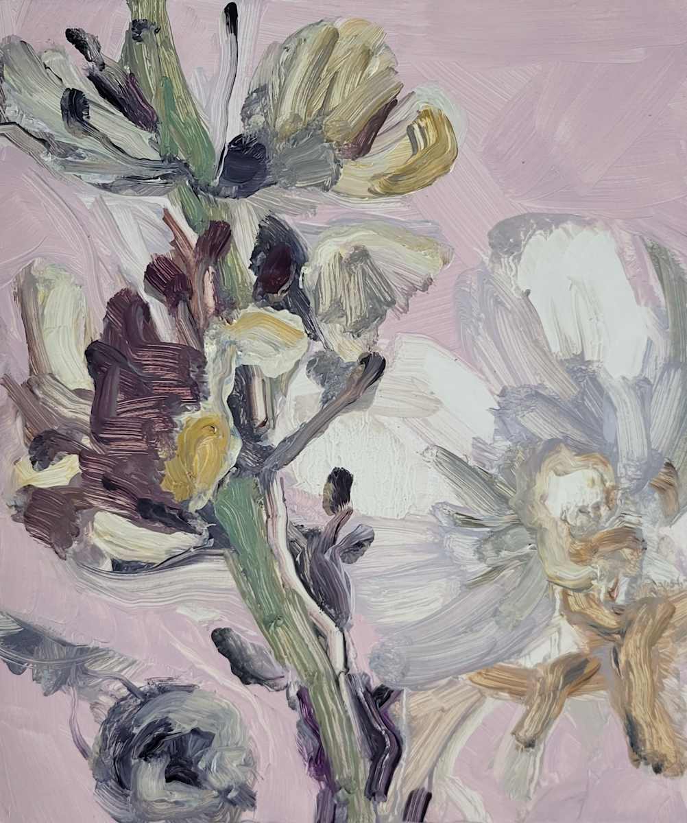 Untitled VII by Fiona Finlay 
