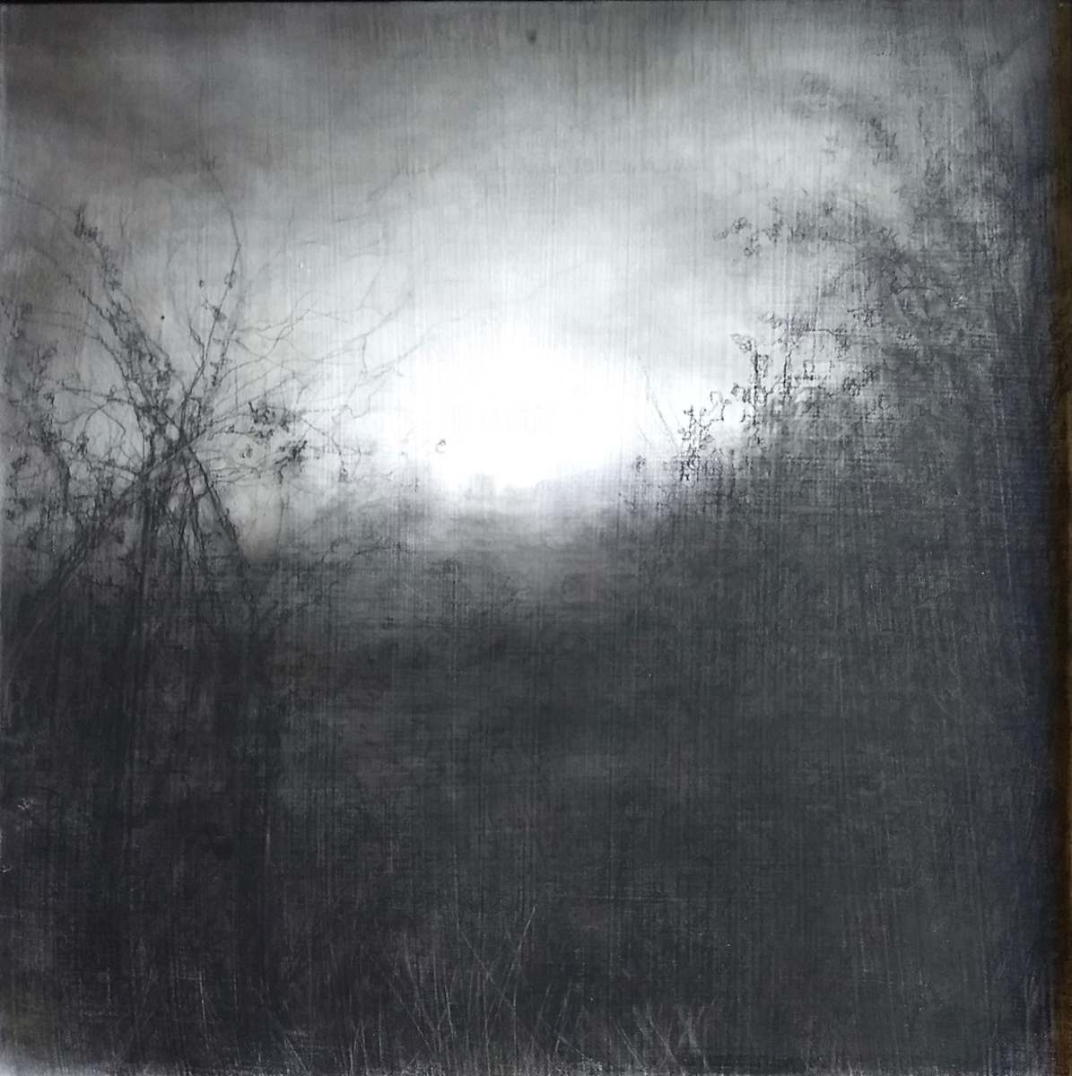 Somewhere Becoming Rain by Sue Bryan, Image 1.