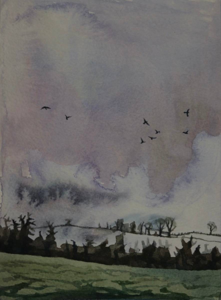 December Field by Ann Quinn 