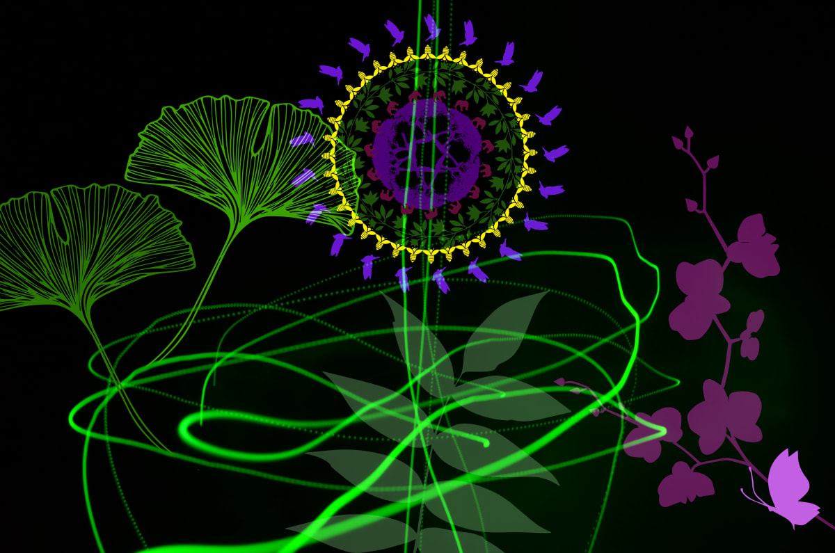 Increase Biodiversity by Jessey Jansen 