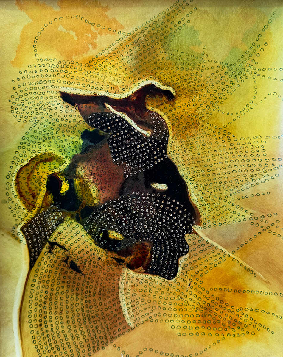 Field Note No. 007 by Jessey Jansen, Image 1.