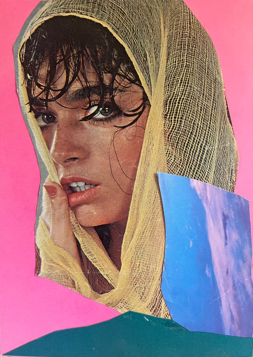 Veil by Hilary Greenstein, Image 1.