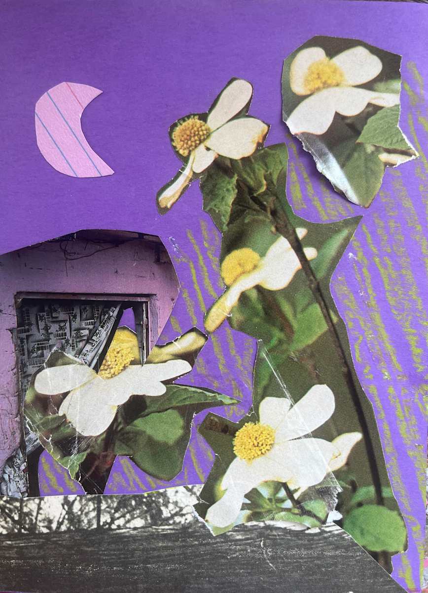 Flowers Gone by Hilary Greenstein 