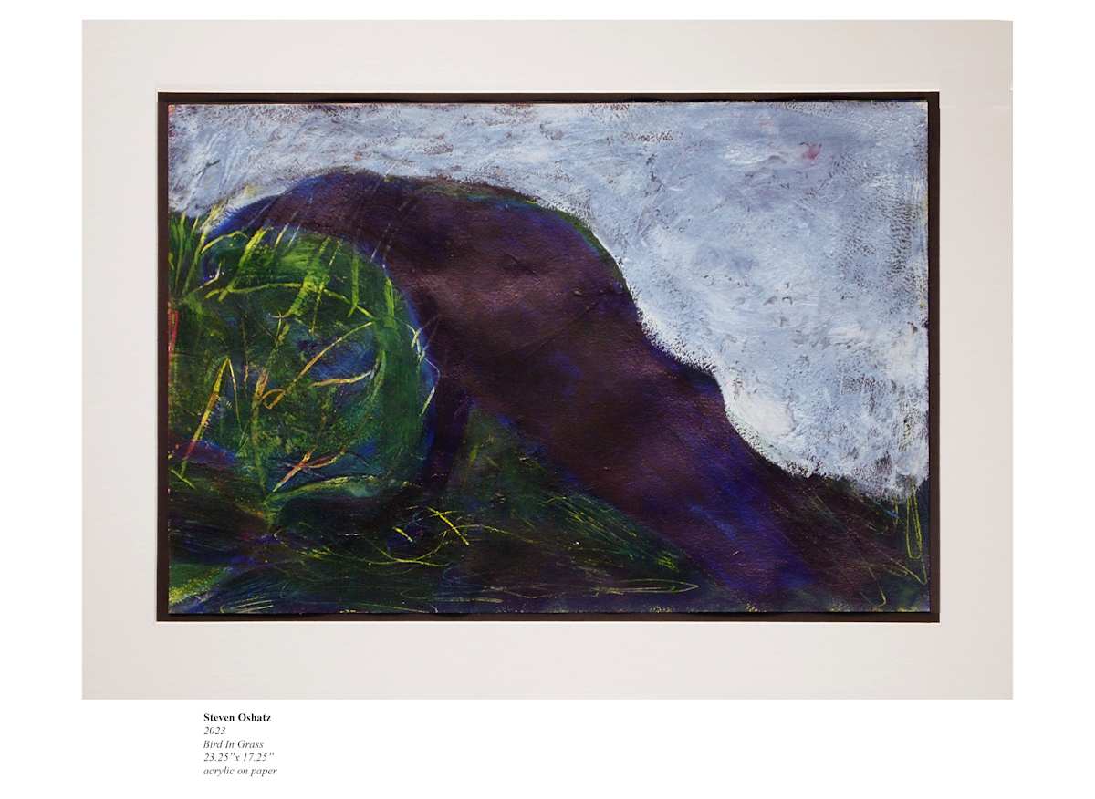 BIRD IN GRASS by Steven Oshatz 
