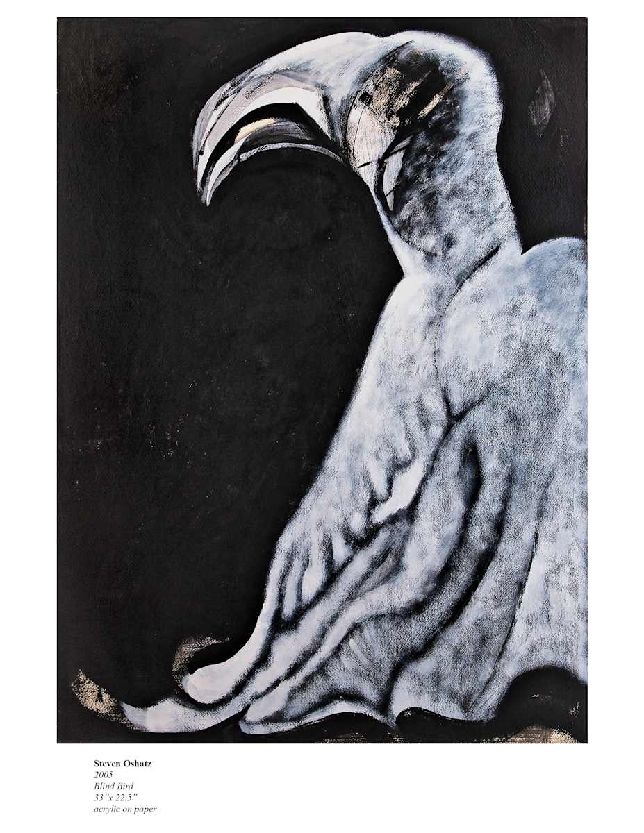 BLIND BIRD by Steven Oshatz 