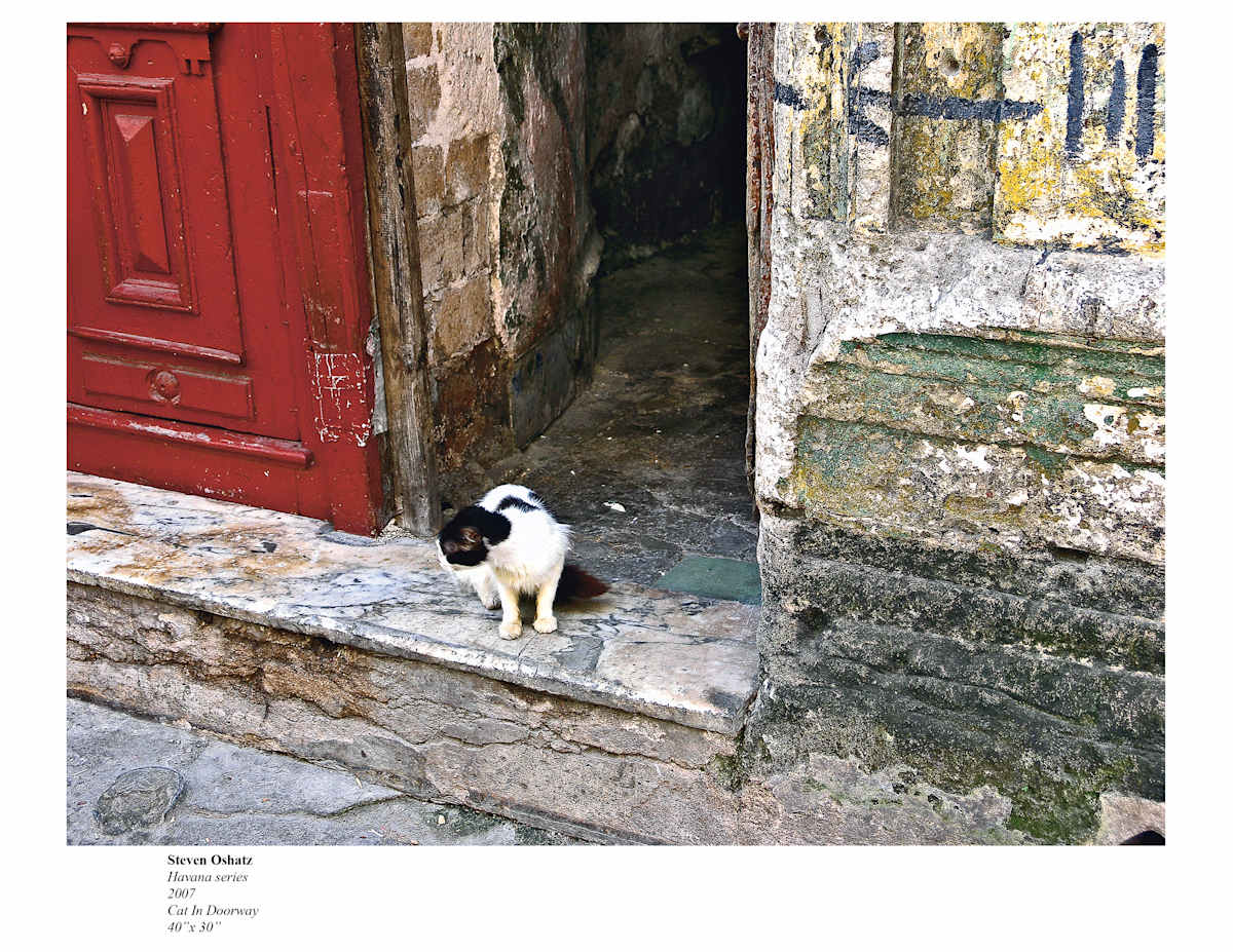 CAT IN DOORWAY by Steven Oshatz  Image: Cat In Doorway