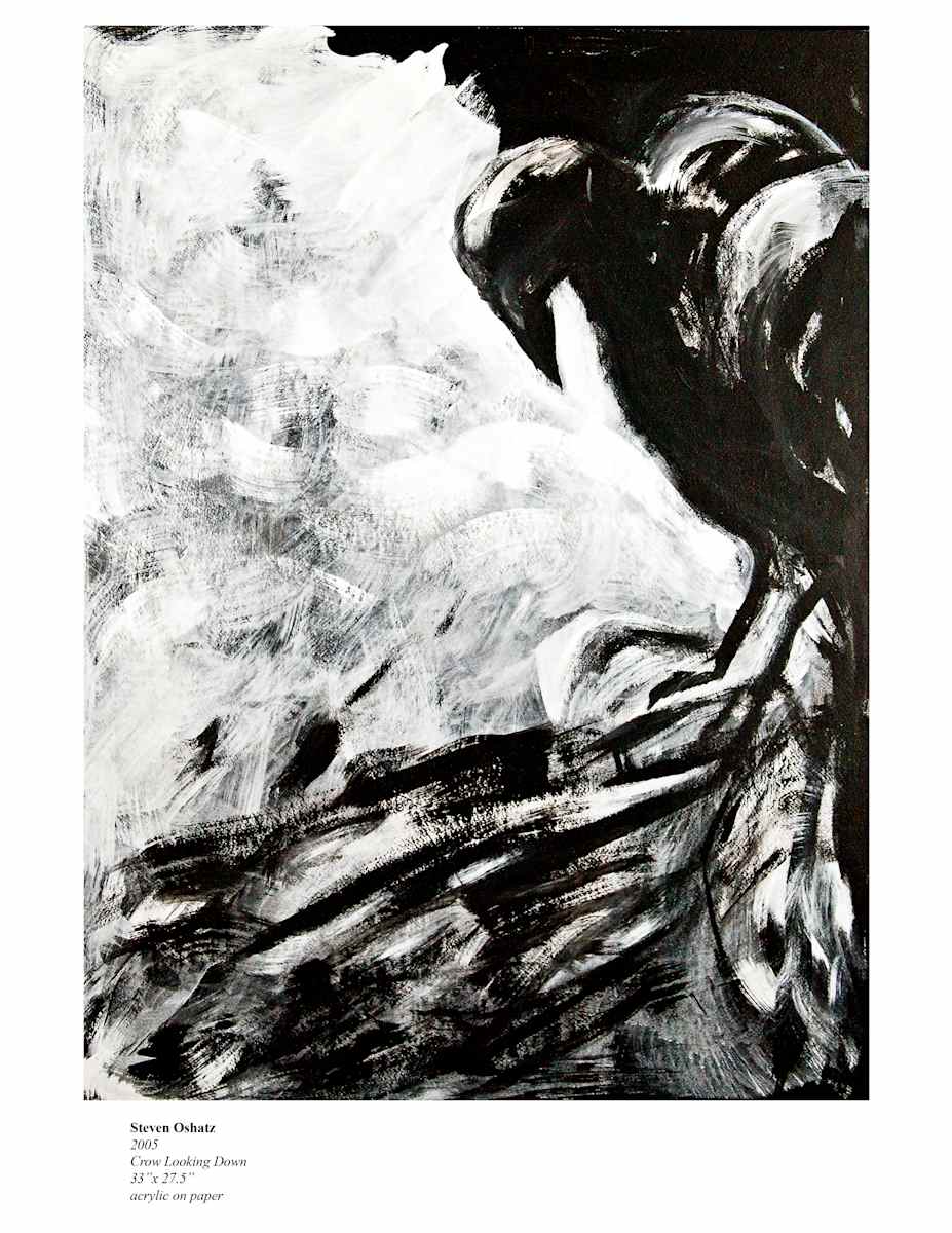 CROW LOOKING DOWN by Steven Oshatz 