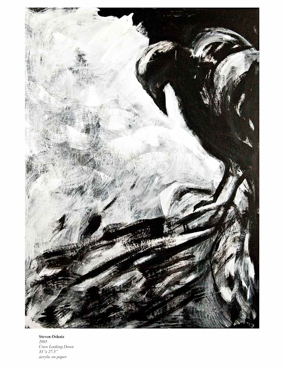 CROW LOOKING DOWN by Steven Oshatz, Image 1.