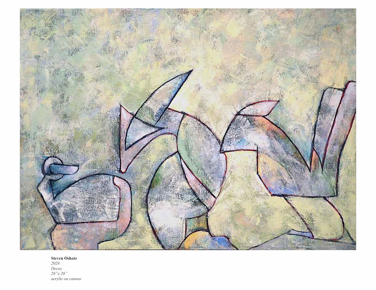 DECOY by Steven Oshatz, Image 1.