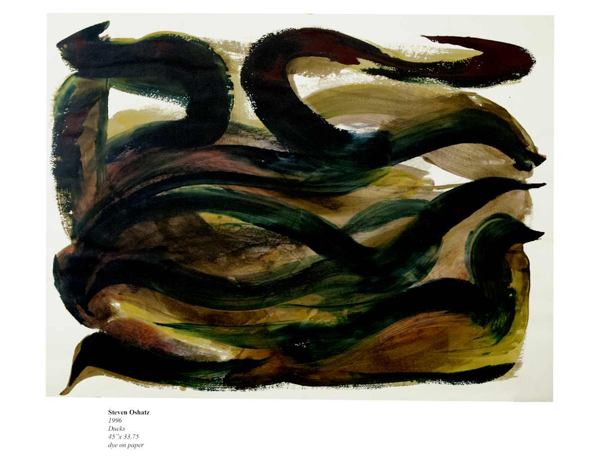 DUCKS by Steven Oshatz  Image: Ducks