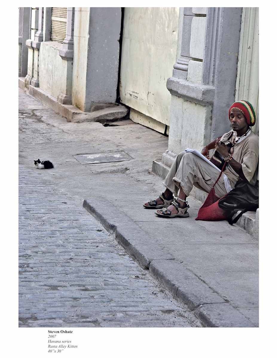 RASTA ALLEY KITTEN by Steven Oshatz  Image: Rasta Alley Kitten