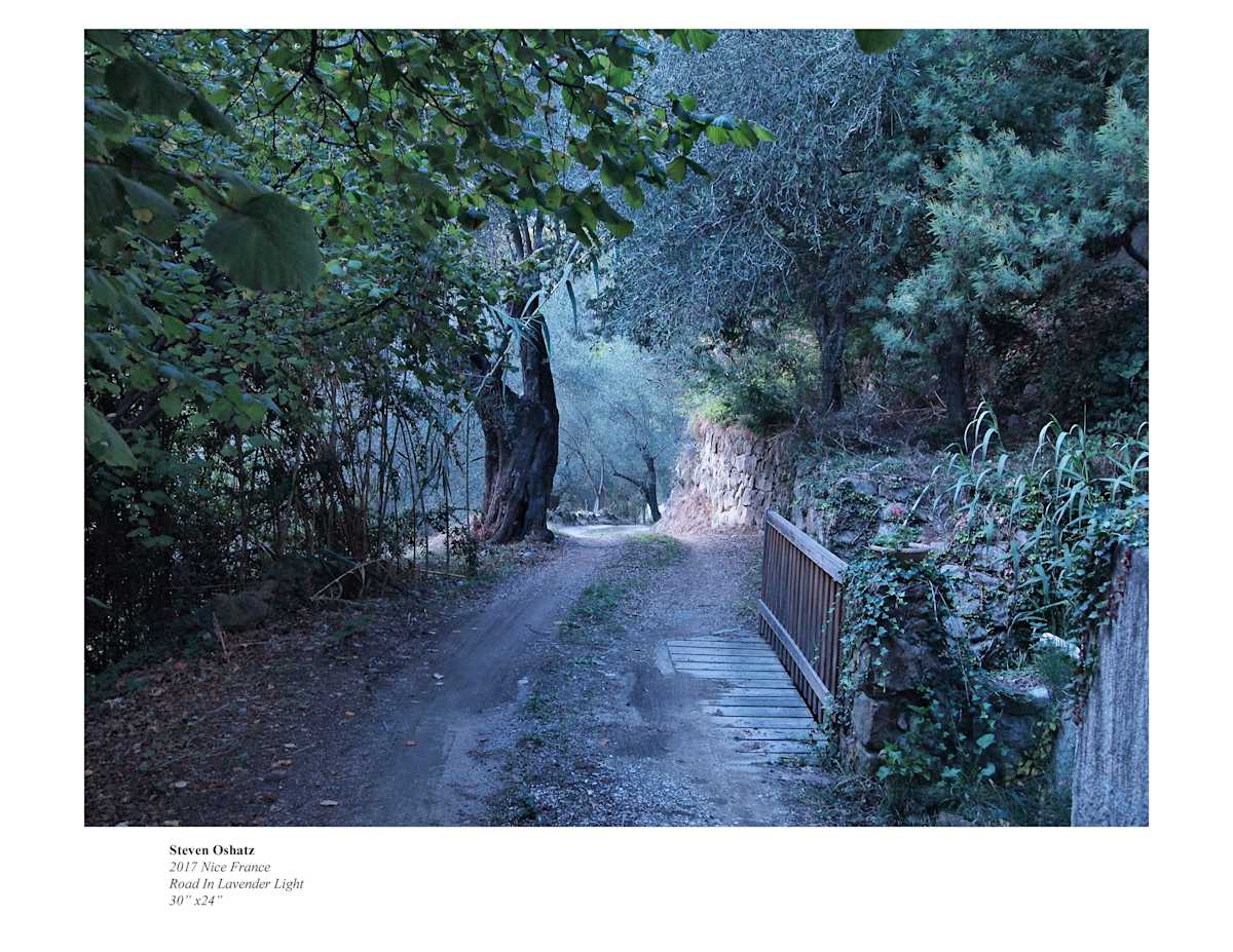 ROAD IN LAVENDER LIGHT by Steven Oshatz, Image 1.