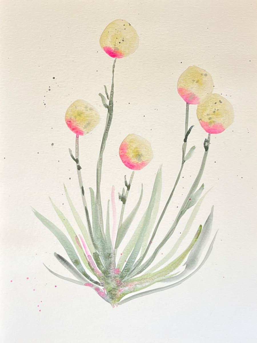 Golden puffs by Mary Mastren-Williams 