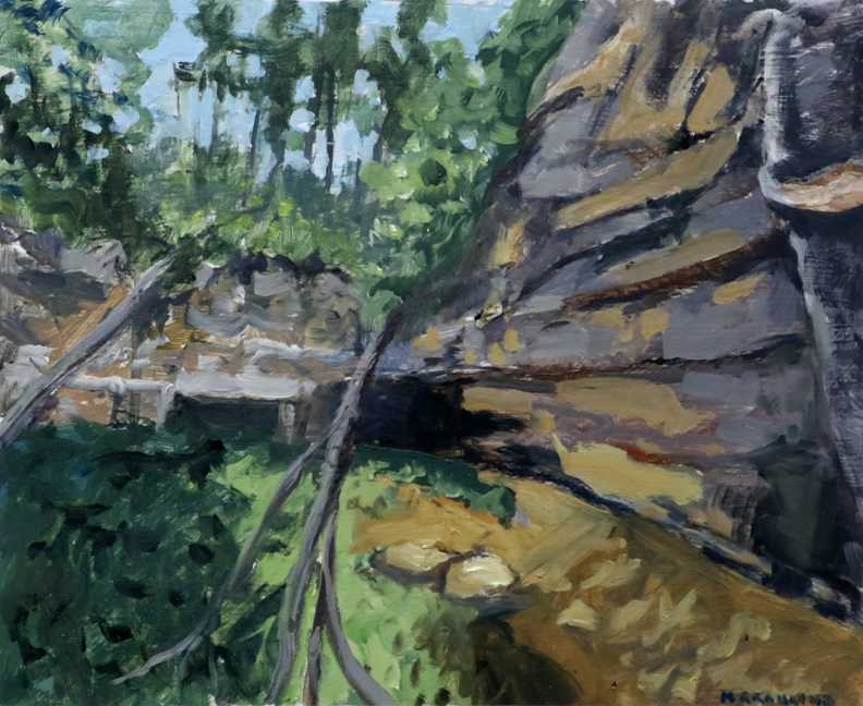 Crystal Springs Scientific and Natural Area - Bluff by Mark Granlund 