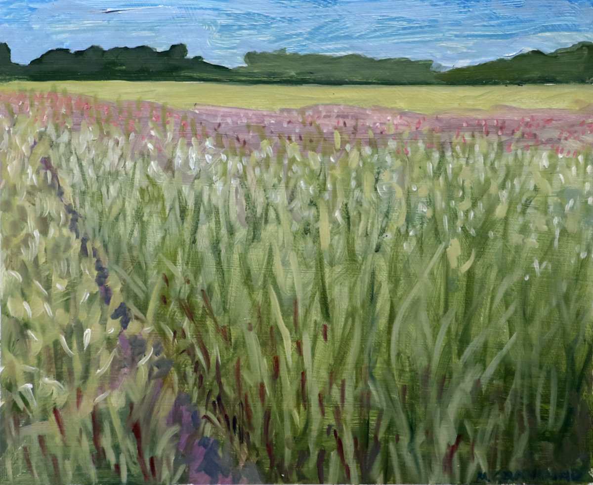 St. Croix Savannah Scientific and Natural Area - Prairie by Mark Granlund 