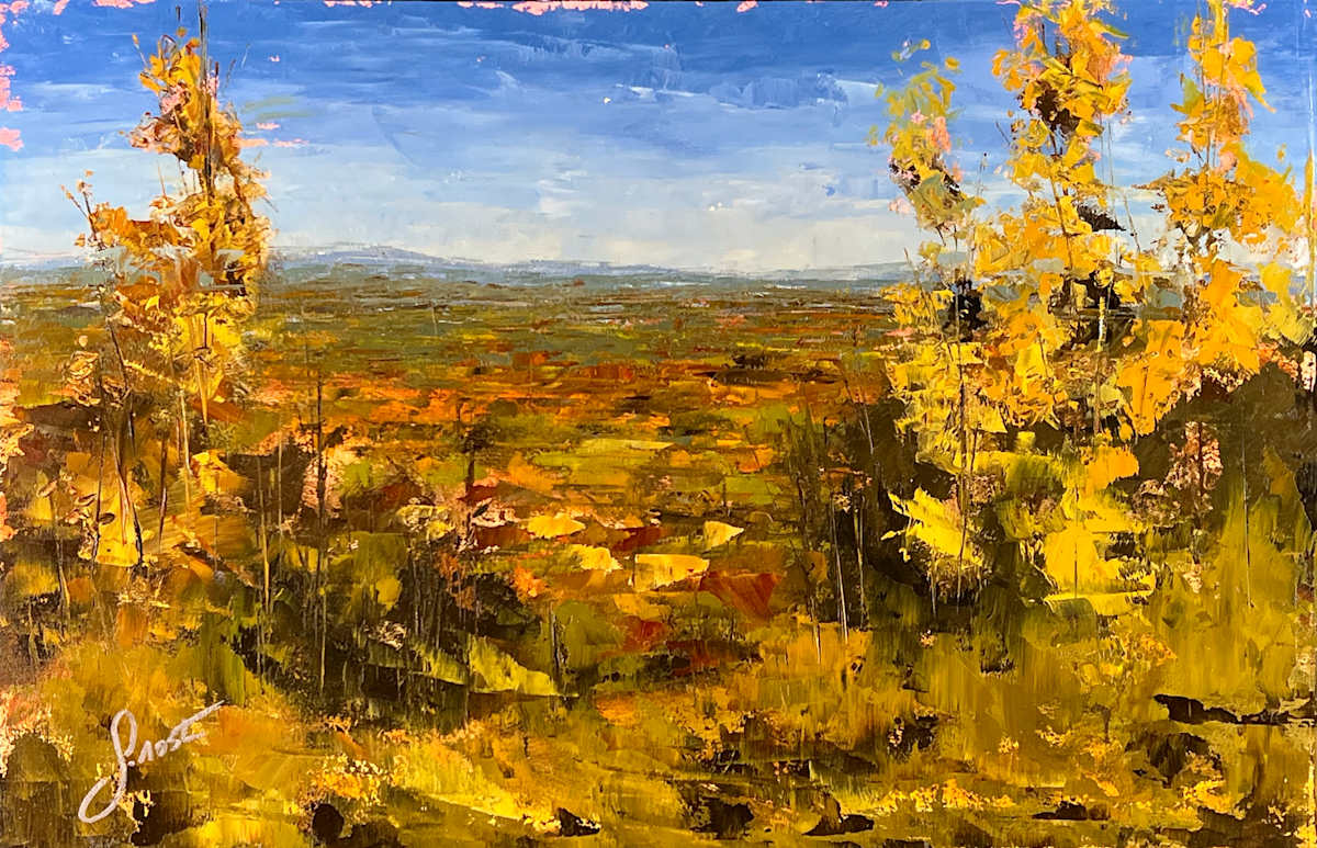 Autumn View From Pinnacle Hill by Scott Nost 