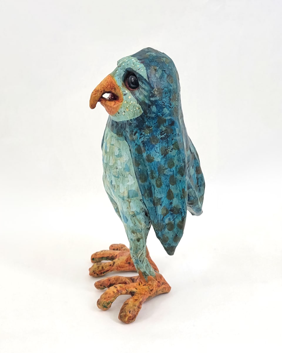Perch the Burrowing Owl by ocasiocasa 