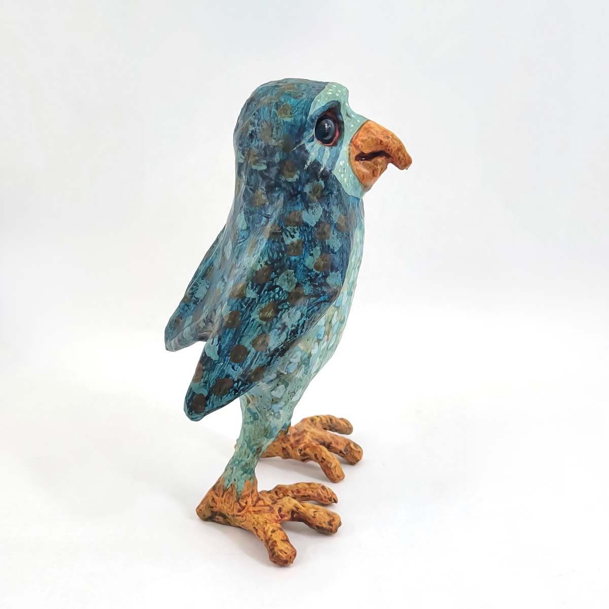 Swoop the Burrowing Owl by ocasiocasa 