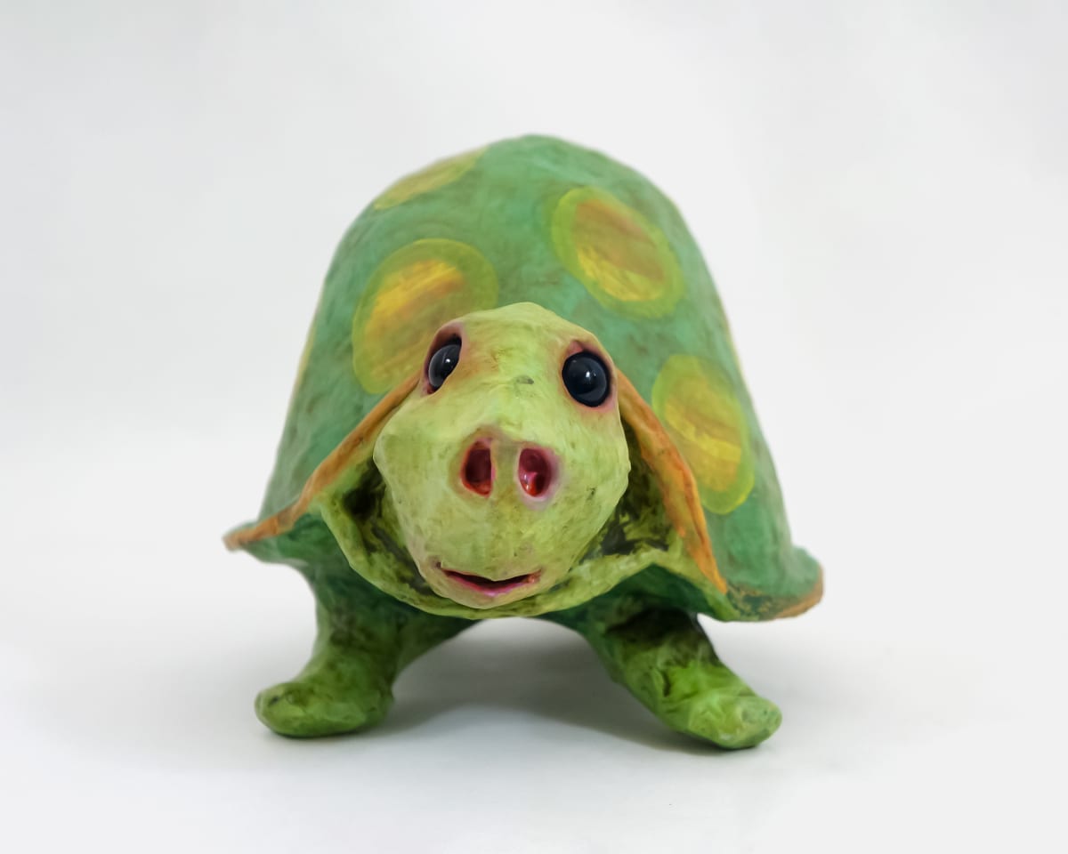 Tess the Turtle by ocasiocasa 