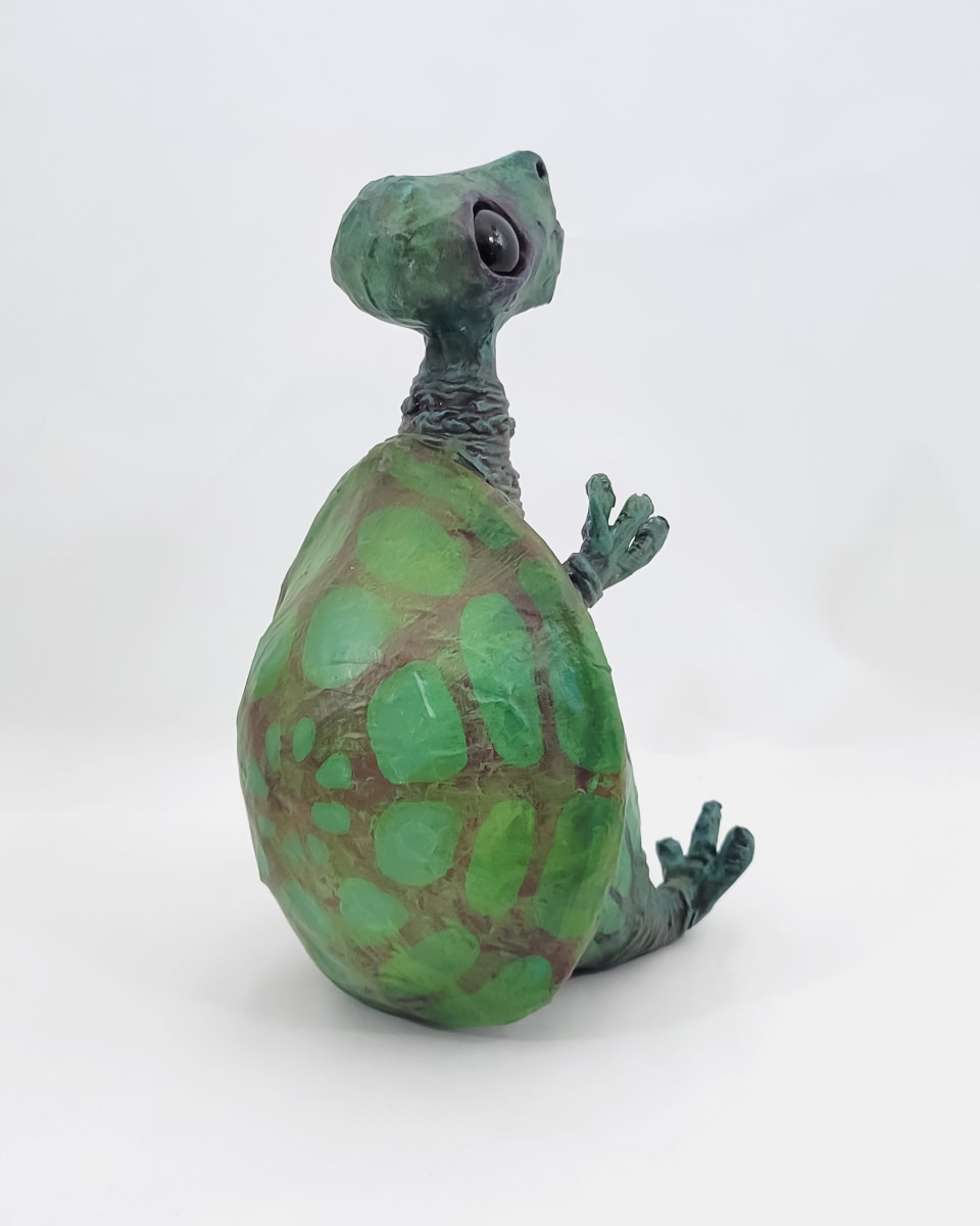 Cleo the Turtle by ocasiocasa 