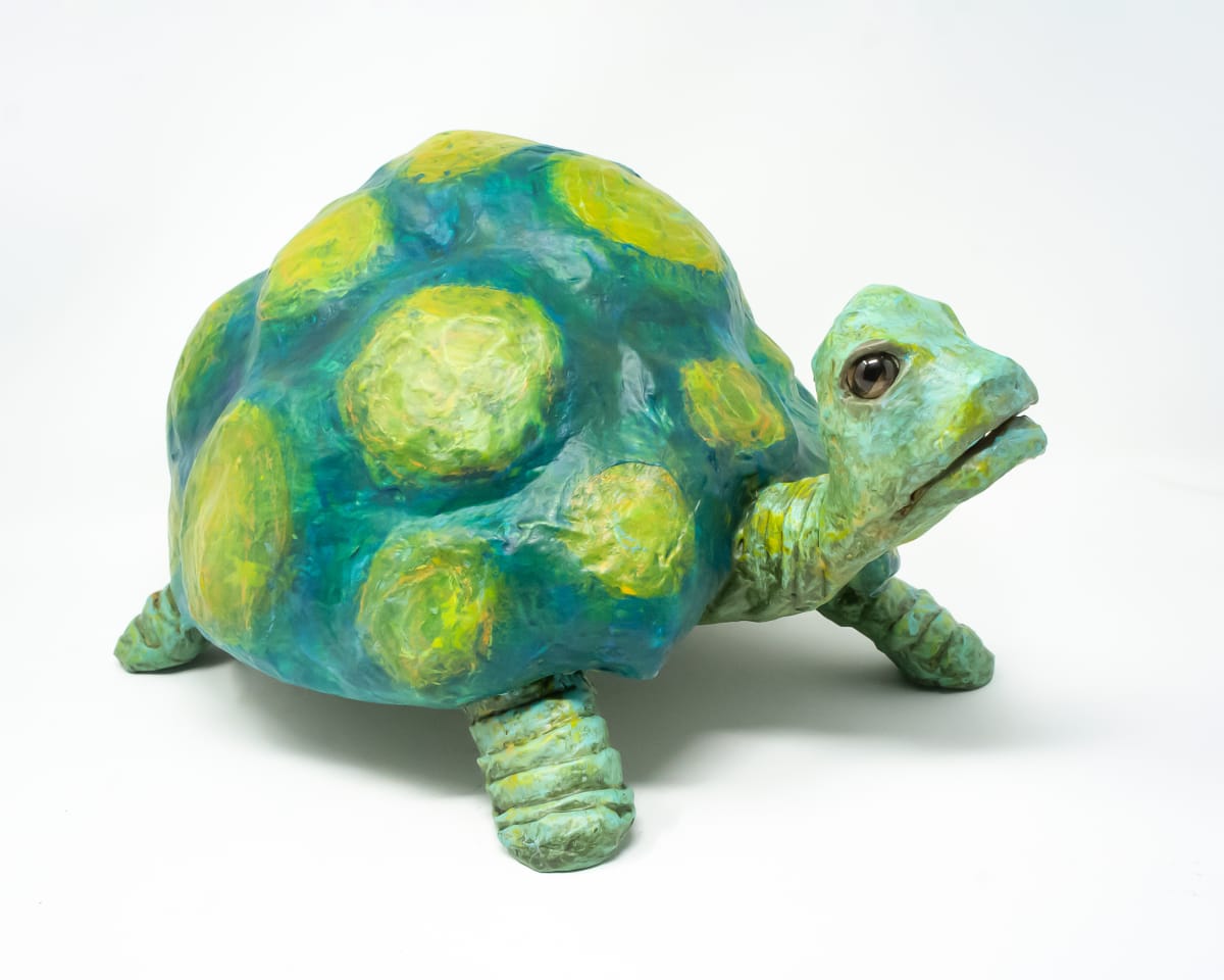 Jen the Turtle by ocasiocasa 