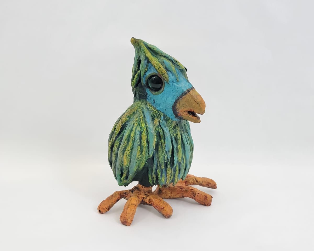 Kiwi the Bird by ocasiocasa 