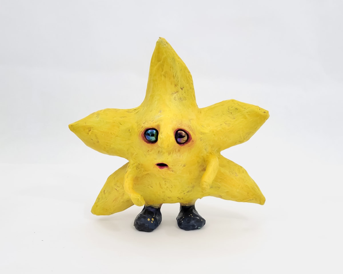 Steller the Star by ocasiocasa 