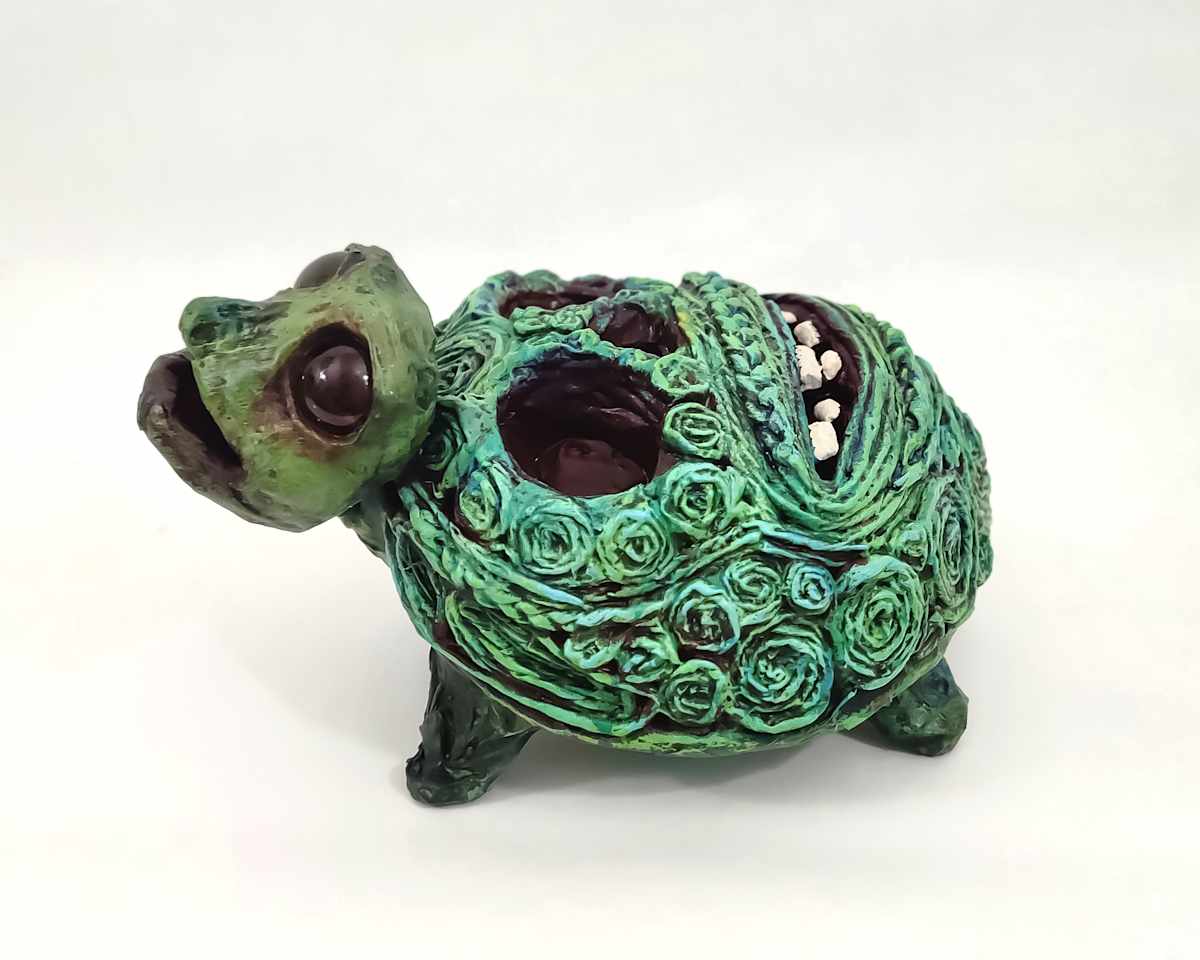 Tijuana the Skull Turtle by ocasiocasa 