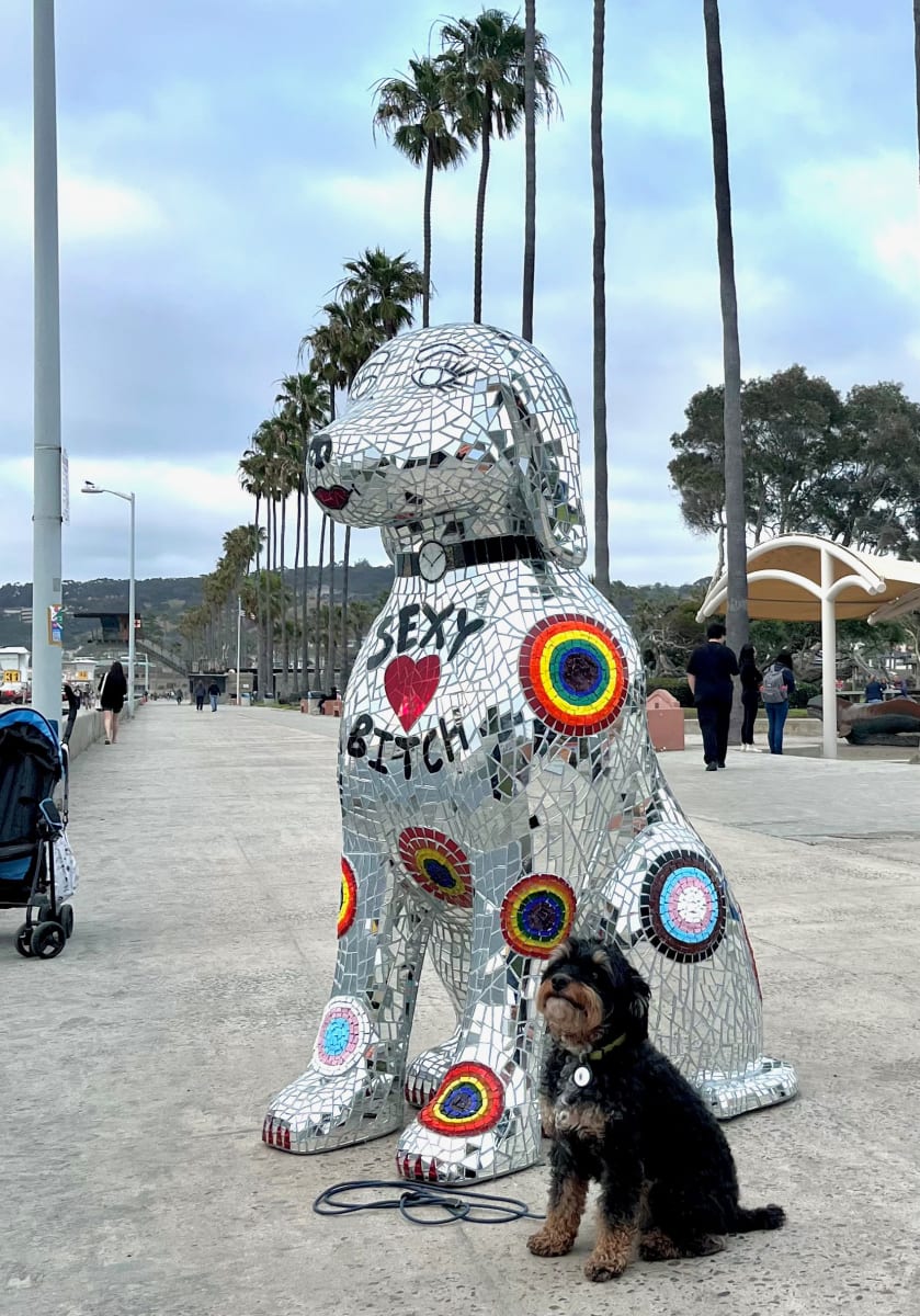 Roxy - The Pride Dog by Elizabeth Laul Healey  Image: Roxy Stand just under 6 ft. tall
