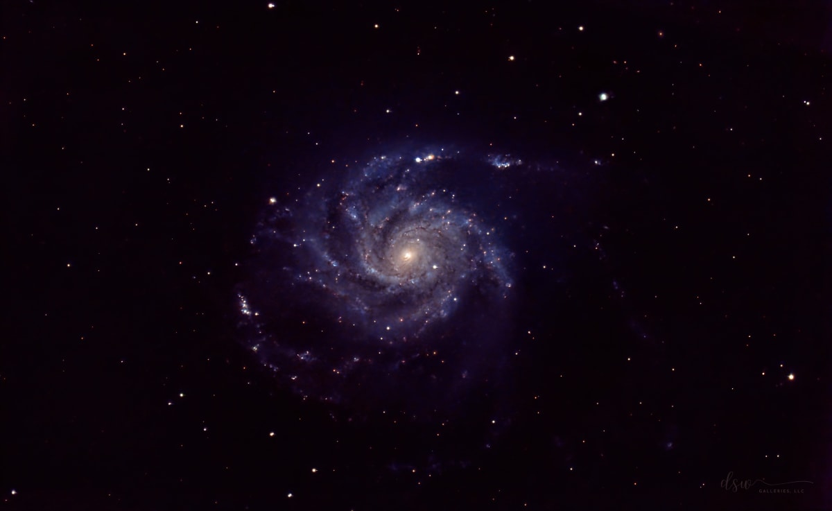 Pinwheeling Supernova 2nd Print by Jeremy Likness  Image: The Pinwheel Galaxy with Supernova SN2023ixf