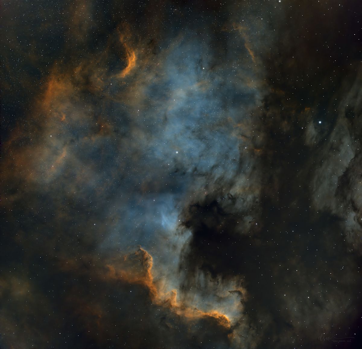Ginger and Silt (NFT) by Jeremy Likness  Image: A very detailed image of the North America nebula (NGC7000) from 10 hours of total exposure time.